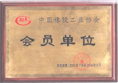 Member of China Rubber Industry Association